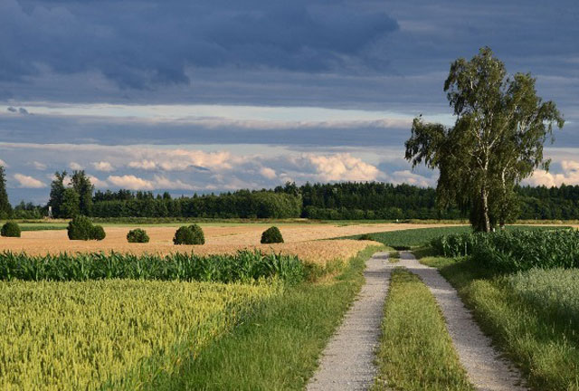 Landschaftspflege