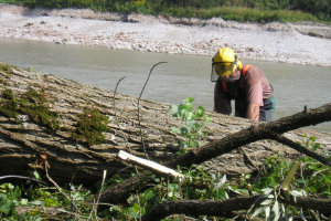 Waldarbeit in schwierigem Gelände